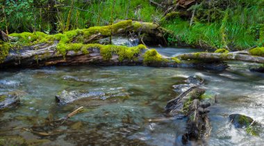 closeup river rushing in mountain forest