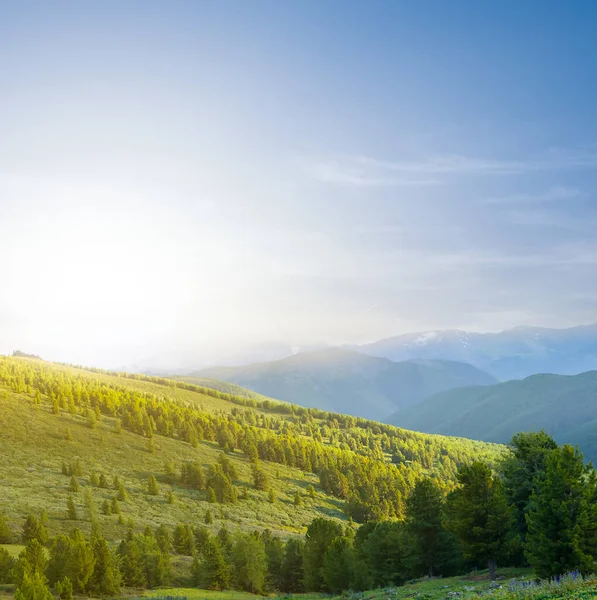 Πράσινο Κοιλάδα Του Βουνού Στο Ηλιοβασίλεμα Όμορφο Ορεινό Τοπίο Ταξίδια — Φωτογραφία Αρχείου