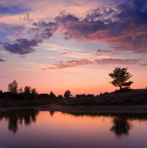 Calm Lake Tree Silhouette Coast Twilight — Stok fotoğraf