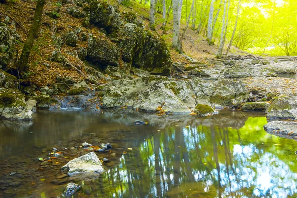 Closeup River Rushing Mountain Forest — Fotografia de Stock