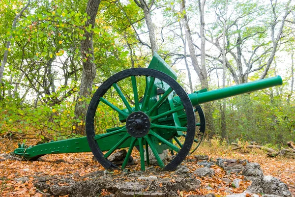 Old Cannon Forest Second World War Military Historical Monument — Stock Photo, Image