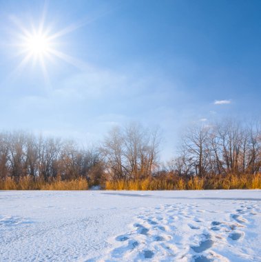 frozen river covered by snow under sparkle sun, winter outdoor scene