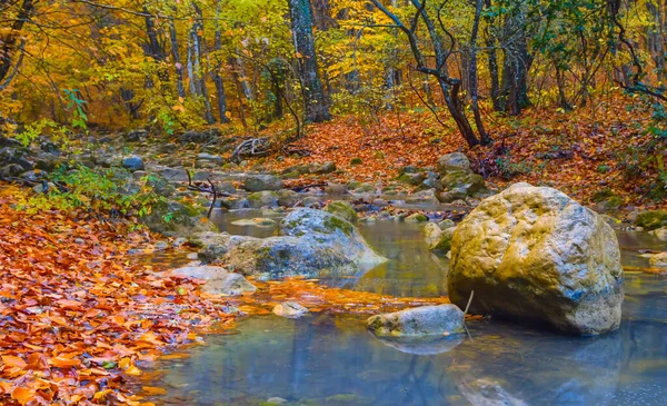 Small River Rushing Mountain Canyon Autumn Natural Mountain River Background — 图库照片