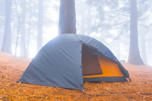Closeup Touristic Tent Stay Forest Glade Mist — Zdjęcie stockowe