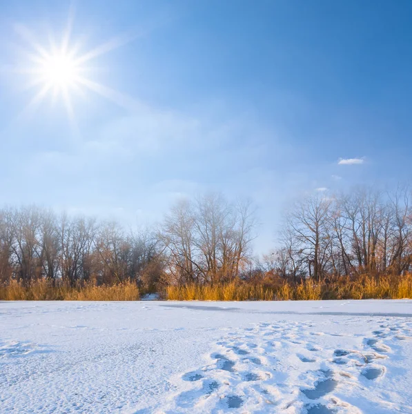 Frozen River Covered Snow Sparkle Sun Winter Outdoor Scene — ストック写真