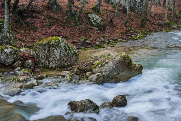 Небольшая Река Протекающая Через Горный Каньон Осенний Фон Естественной Горной — стоковое фото