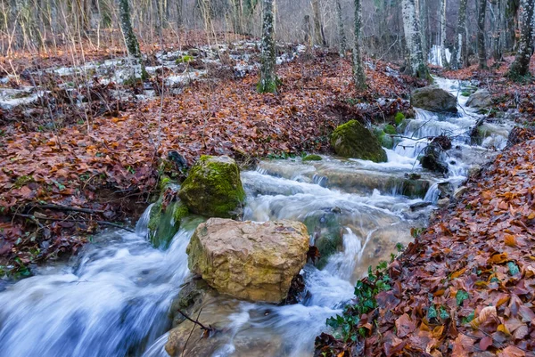 Small River Rushing Mountain Canyon Autumn Natural Mountain River Background — ストック写真