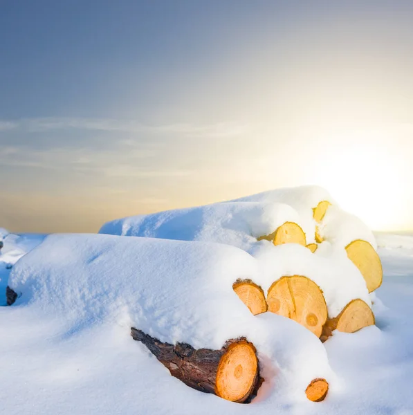 Heap Pine Tree Trunk Winter Snowbound Forest Glade Sunset Natural — Stockfoto