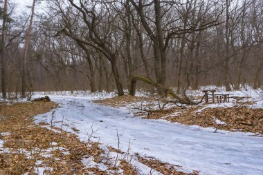 snowbound rural road through the forest, seasonal natural background
