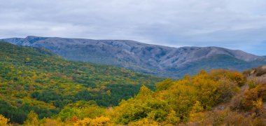 Soluk bulutlu gökyüzünün altında kızıl sonbahar dağı vadisi