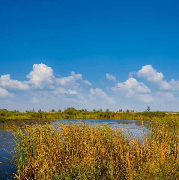 Małe Spokojne Letnie Jezioro Pod Zachmurzonym Niebem — Zdjęcie stockowe