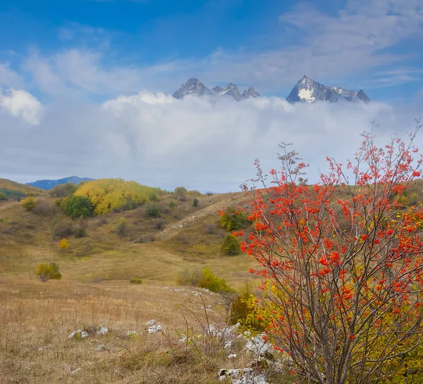 Red Autumn Mountain Valley Pale Cloudy Sky — Stock Photo, Image