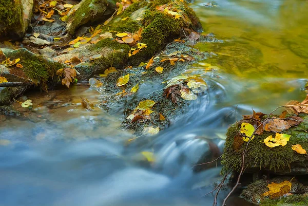 Närbild Liten Bäck Rusar Genom Bergskanjonen Höst Berg Flod Scen — Stockfoto