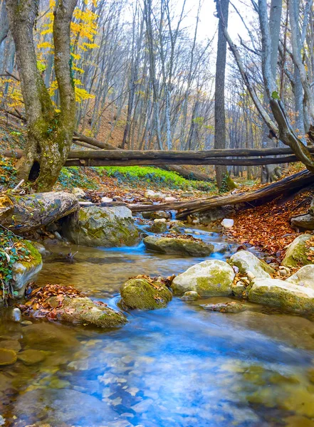 Nahaufnahme Kleiner Bach Der Durch Die Bergschlucht Rauscht Herbstliche Gebirgsflussszene — Stockfoto