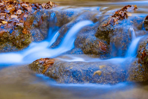 Közelkép Kis Patak Rohanó Hegyi Kanyon Ősz Hegyi Folyó Jelenet — Stock Fotó