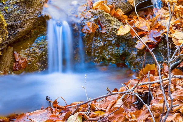 Närbild Liten Bäck Rusar Genom Bergskanjonen Höst Berg Flod Scen — Stockfoto