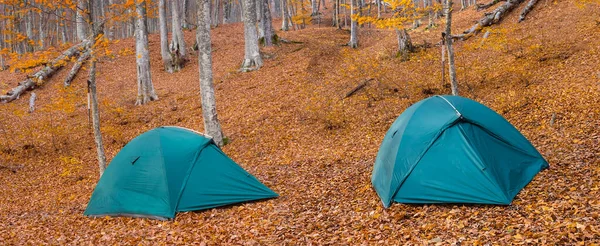 Campement Touristique Dans Forêt Automne Couverte Feuilles Rouges Sèches Scène — Photo