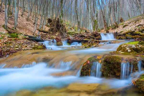 Dağ Ormanlarında Akan Küçük Bir Nehir Dağ Kanyonu Sonbahar Manzarası — Stok fotoğraf