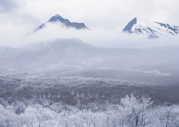 Schneebedecktes Gebirgstal Dichtem Nebel Und Wolken — Stockfoto