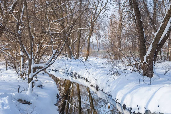 Kleiner Ruhiger Fluss Schneebedeckten Wald — Stockfoto