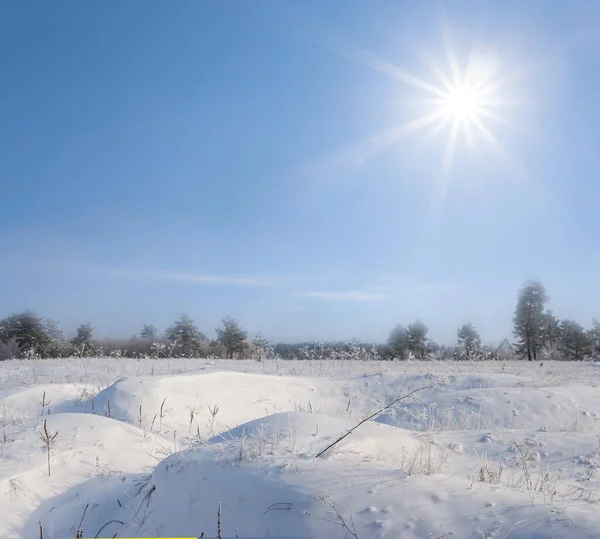 Snowbound Równina Pod Iskrzącym Słońcem Zimowa Sezonowa Scena Outdoor — Zdjęcie stockowe