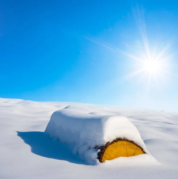 Ağaç Kütüğü Kışın Güneşli Bir Günde Karla Kaplı Düzlükte Yatar — Stok fotoğraf