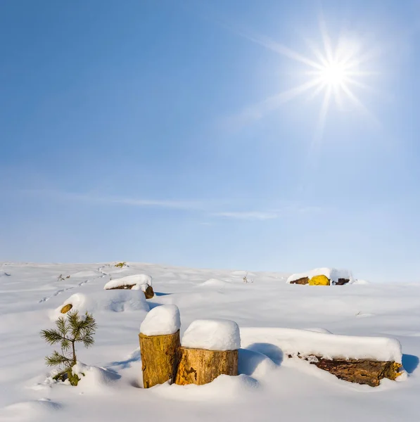 木の丸太は冬の晴れた日に雪に覆われた平野にある — ストック写真