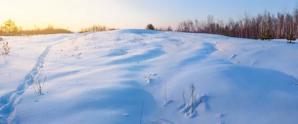 Llanura Nevada Invierno Atardecer —  Fotos de Stock