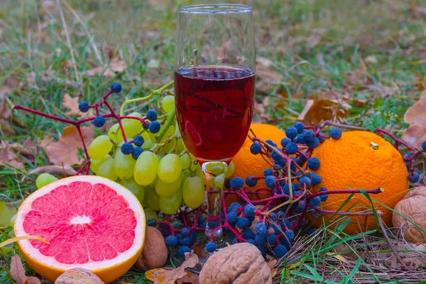 Closeup Copo Vinho Com Amontoamento Frutas Clareira Floresta Comida Livre — Fotografia de Stock