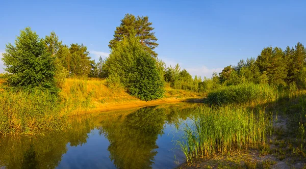 森の中の小さな穏やかな湖 美しい夏の屋外風景 — ストック写真