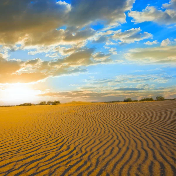 Dramatik günbatımında kumlu çayır, yaz doğal manzarası