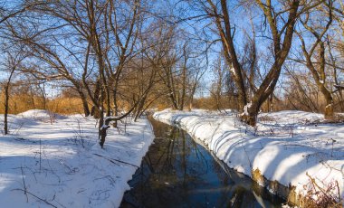 Sakin nehir kışa bağlı ormanda akar.