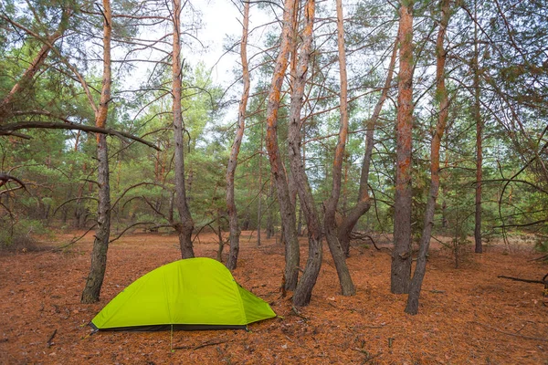 Зеленая Туристическая Палатка Среди Красных Сухих Лесов Осенний Пейзаж Путешествия — стоковое фото
