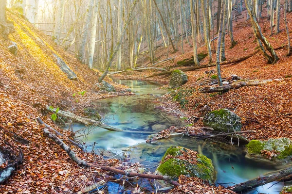 秋の山渓谷を流れる渓流の上の小さな滝 — ストック写真