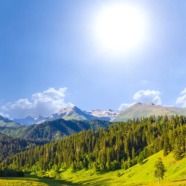 Πράσινο Βουνό Κορυφογραμμή Στο Καλοκαίρι Ηλιόλουστη Μέρα — Φωτογραφία Αρχείου