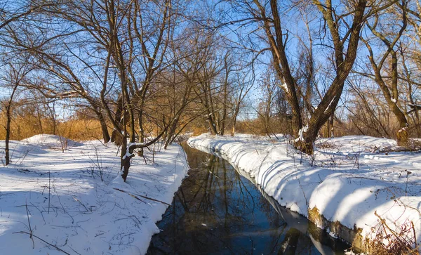 Río Tranquilo Fluir Través Invierno Bosque Nevado — Foto de Stock