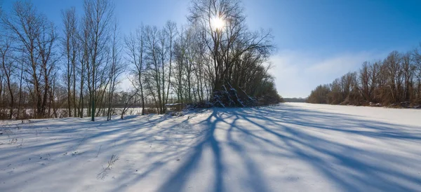 冬雪覆盖的森林 阳光灿烂 冬季季节自然背景 — 图库照片