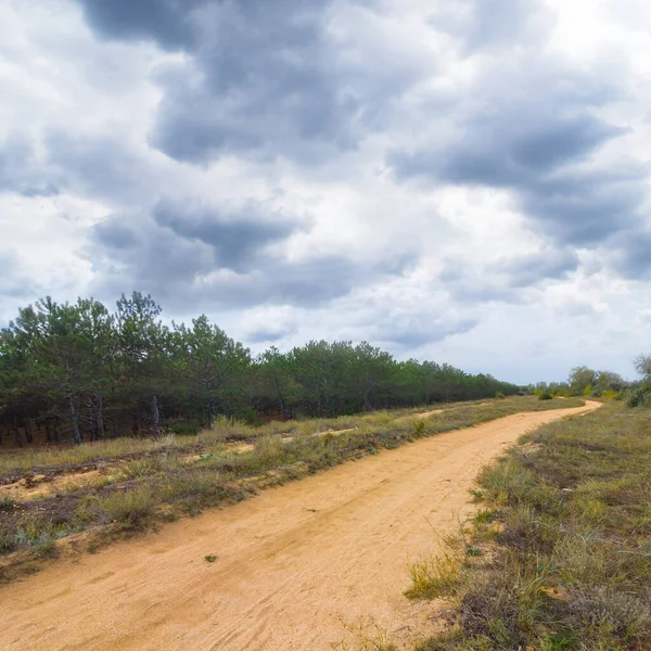 Strada Terra Tra Praterie Secche Sotto Cielo Nuvoloso — Foto Stock