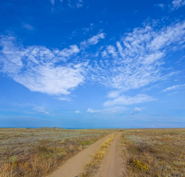 多云的天空下干枯的草原间的地面道路 — 图库照片