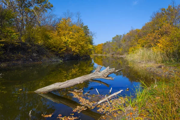 Kleine Rustige Rivier Stroom Tussen Rode Herfst Bos Heldere Dag — Stockfoto