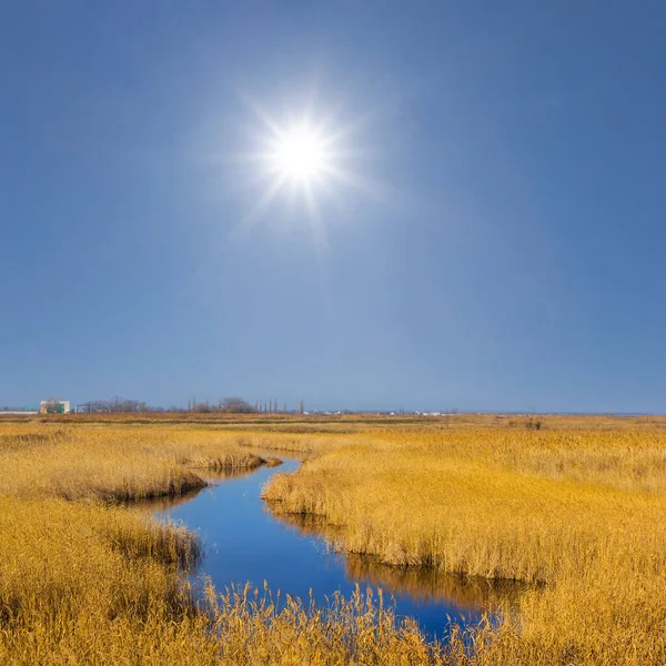 秋晴れの草原の間の小さな川 — ストック写真