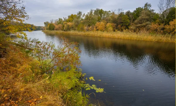 Ruhiger Fluss Mit Wald Der Küste Ruhige Herbstlandschaft — Stockfoto