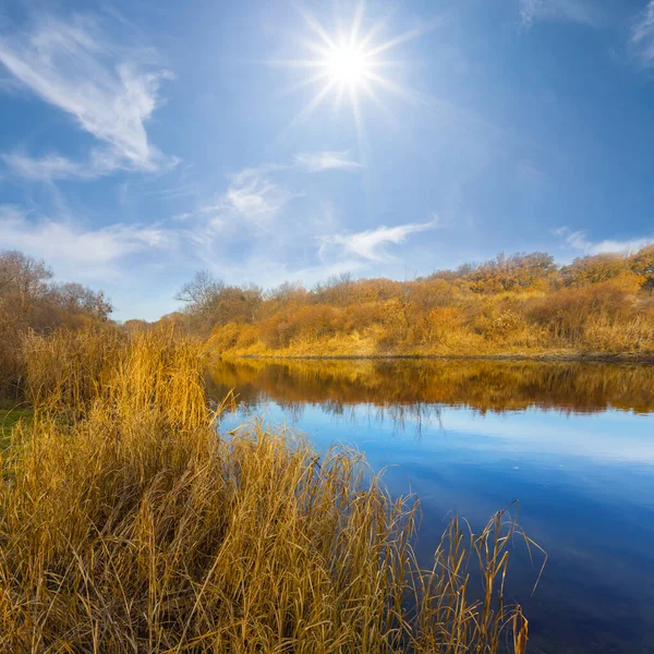 Lugn Flod Med Skog Vid Kusten Solig Dag Lugnt Höstlandskap — Stockfoto