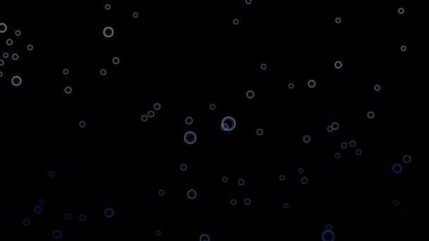 Made Adobe Effects Imagined Bubbles Floating — Stock Video