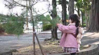 Küçük kız kozalaklıklarla oynuyor.