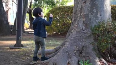 Küçük bir çocuğun ağaçla savaştığı yer.
