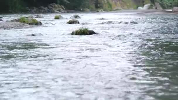 Capture Natural River Middle — Vídeos de Stock