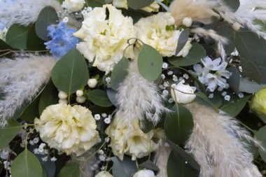 Düğün töreni için renkli Takasago çiçekleri