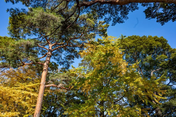 Ailemle parka gittim ve bir fotoğraf çektim.
