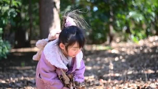 Tomé Esta Foto Cuando Fui Parque Lleno Naturaleza Con Mis — Vídeo de stock